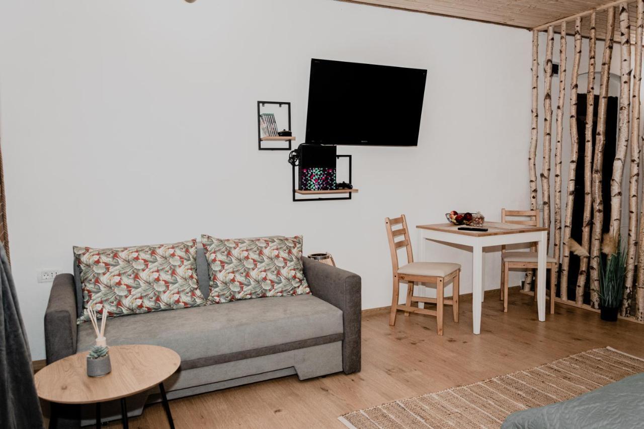 Central Garden Apartments Brasov Exterior photo